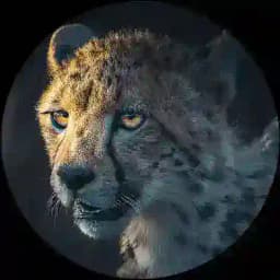 Deutsche Furries Ltd. (SFW) Profile