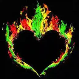 DİRİLİŞ AİLESİ Profile