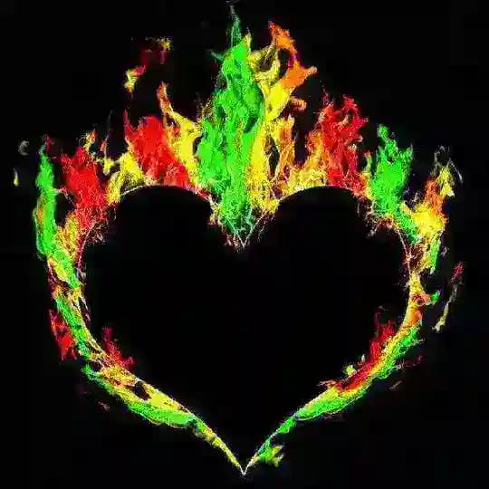 DİRİLİŞ AİLESİ Profile