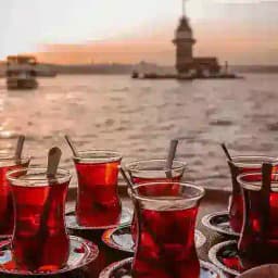 RAFADAN TAYFA Profile