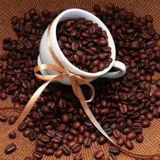 🎅🏼 Bᴀᴋu Mᴀғɪᴀ Bᴏɴᴅs 🎅🏼 Profile