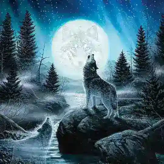 Suskun hayallar gurupu Profile