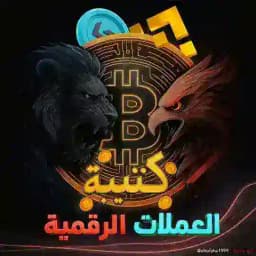 جروب المناقشة لكتيبة العملات الرقمية Profile