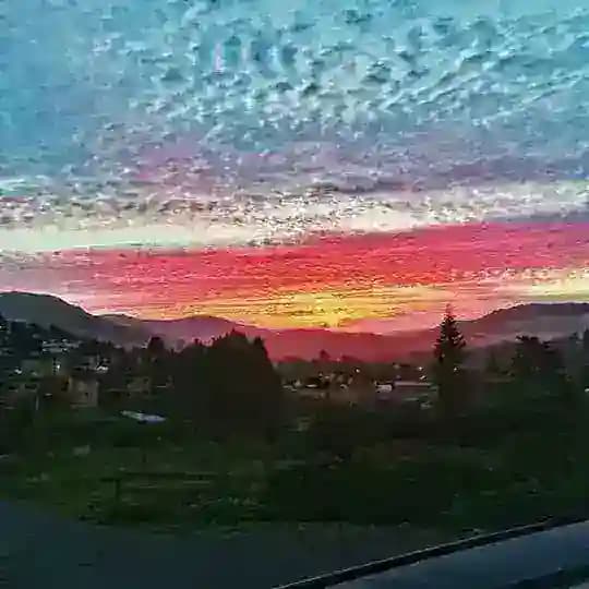 European chat Profile