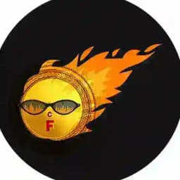 FIRE TOKEN Pakistan Profile