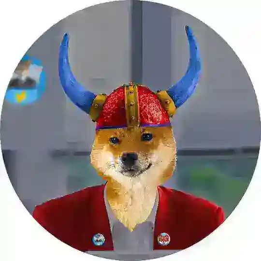 FLOKI CFO™ | Army 🐕 Profile