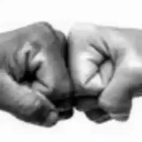 TOGETHER WE WIN 💰 DEVIDED WE FALL Profile