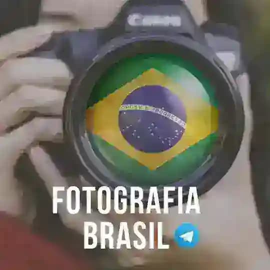 Fotografia Brasil (Grupo) Profile