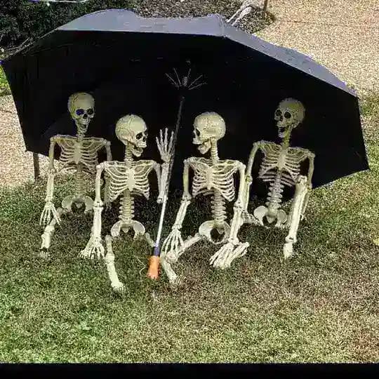 😹FRIENDS👻👻 CIRCLE⭕ Profile