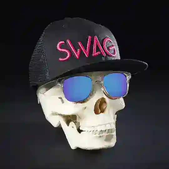 GARANT SWAG/HECKER Profile