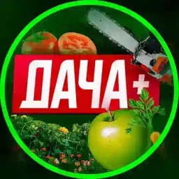 ДАЧА, САД И ОГОРОД. +Баня. Profile