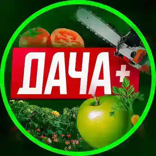 ДАЧА, САД И ОГОРОД. +Баня. Profile