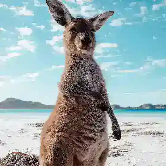 🍆Gay🥒 🌎Universal 🌏 Profile