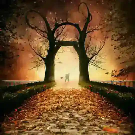 [قاطی پاطی] Profile