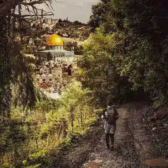 Israeli Occupation Crimes (IOC) 💬 Profile