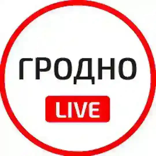 Гродно (чат) Profile