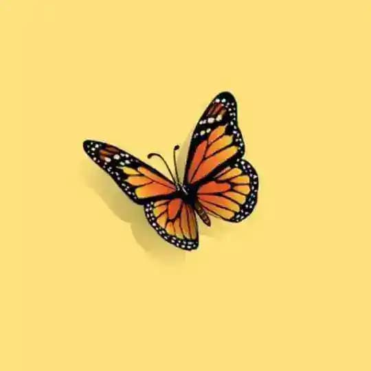 Cari Wong Jawa 😊 Profile