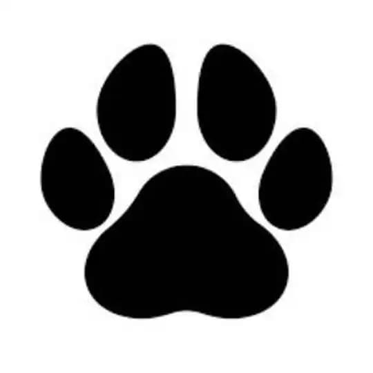 BaokenrenShop.com chạy ref Profile