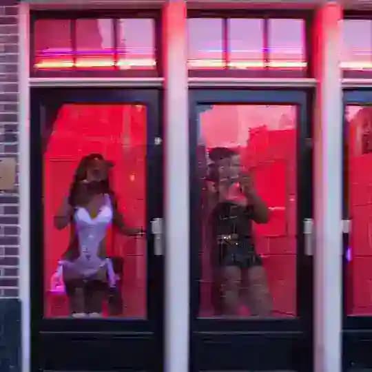 #Holandia dla Swojaków👀 Profile