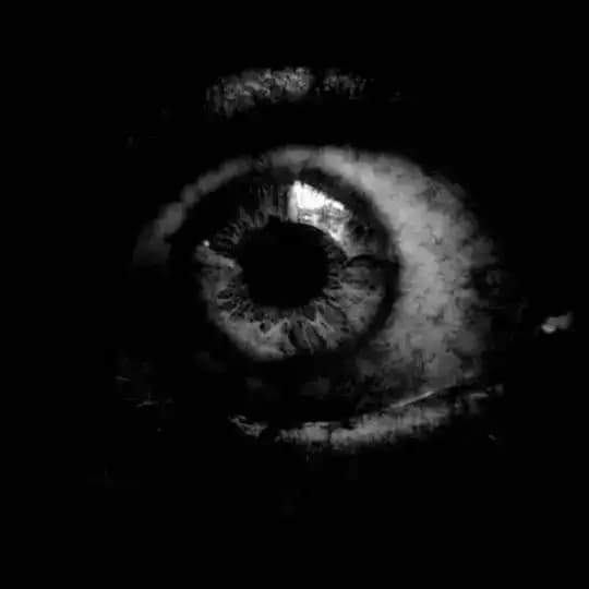 Дом ужасов Profile