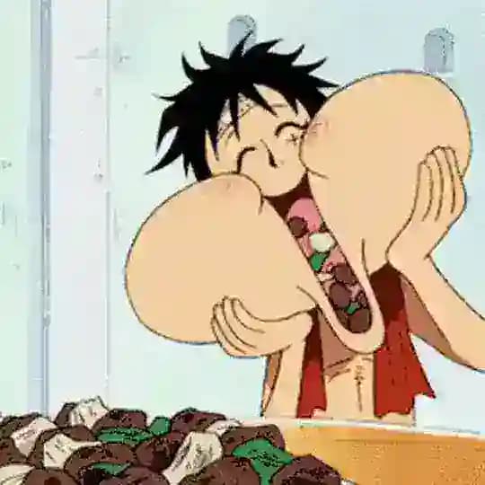 飞机号|协议号|直登号 Profile