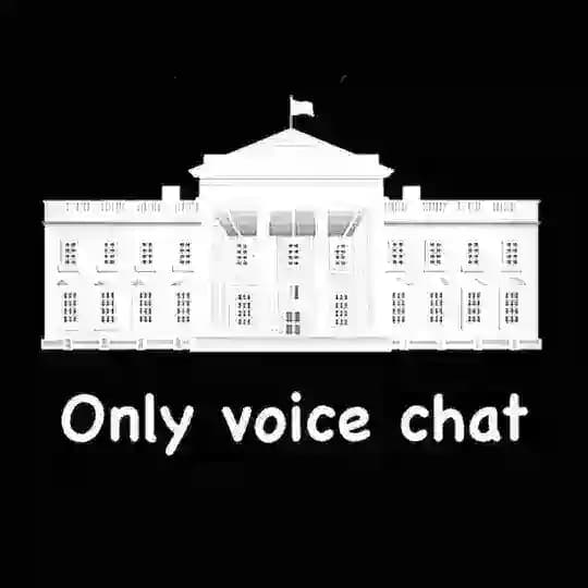 Only Voice Chat Profile