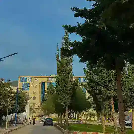 INFORMATIQUE LMD/ING Profile