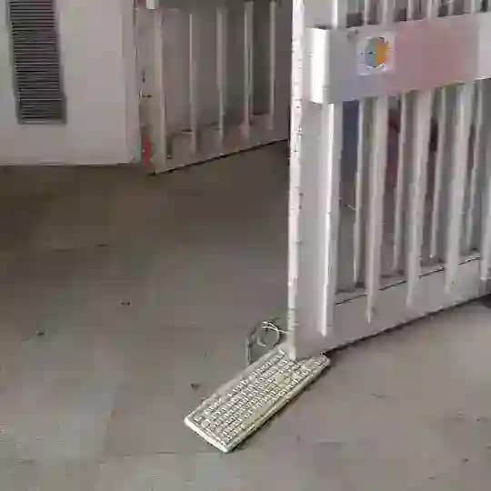 Infornatica Grezza [PRN] Profile