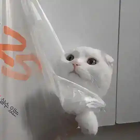 MUDAMOS DE GRUPO LINK NA DISCRIÇÃO Profile