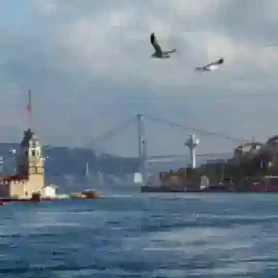 Welcome to istanbul Profile