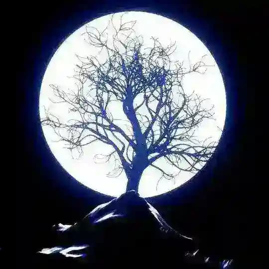 استراحة العظماء Profile