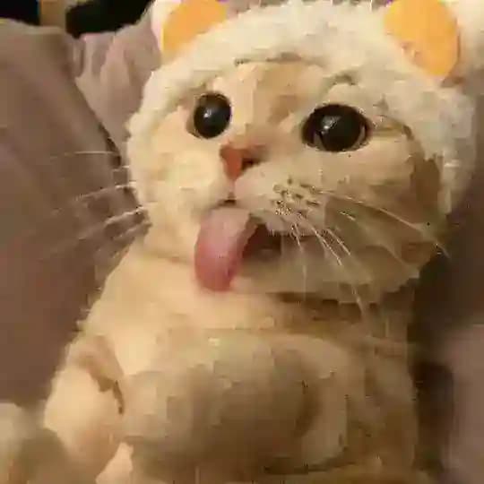 KING Mods 👑 Profile