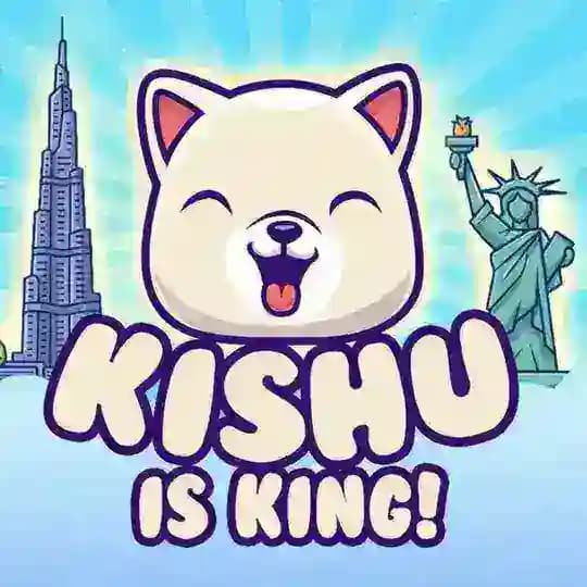 Kishu Inu Türkiye 🇹🇷 Profile