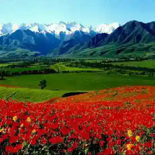 Ⲕыⲣⲅыⳅⲥⲧⲁⲏ🇰🇬☝️ Profile