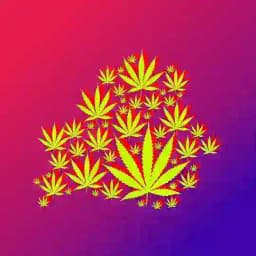 Legalize Belarus Group Profile