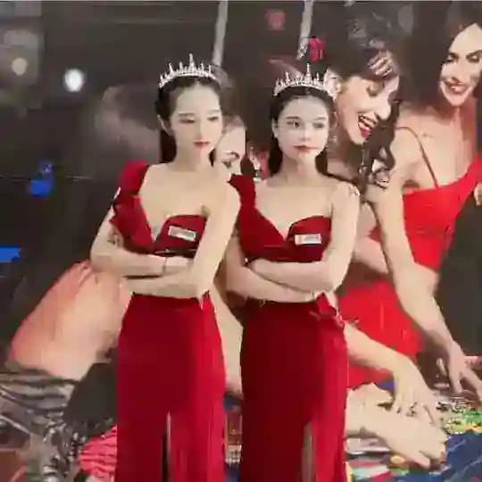 腾龙娱乐 Profile