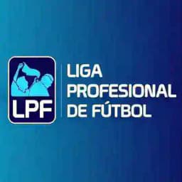 Liga profesional de Fútbol argentino Profile