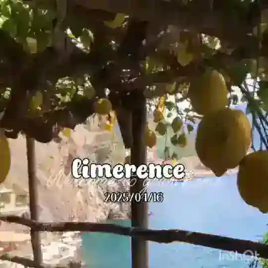 ㅤ‌ㅤ‌‍‌. lımerence Profile