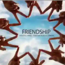 ᴄʜᴀᴏᴤ Profile