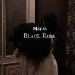 🥀𝔐𝔞𝔣𝔦𝔞 𝔅𝔩𝔞𝔠𝔨 ℜ𝔬𝔰𝔢🥀 Profile