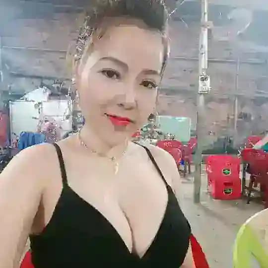 Máy Bay Toàn Quốc Profile