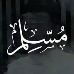 ☪️MuslimChat🇵🇸 Profile