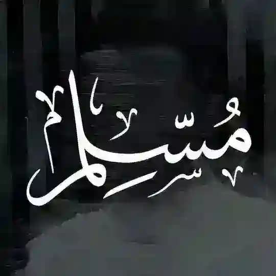 ☪️MuslimChat🇵🇸 Profile