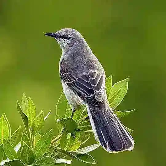 My mates 😇 Profile