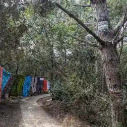 Nudisti e nudismo sparso per l'italia Profile