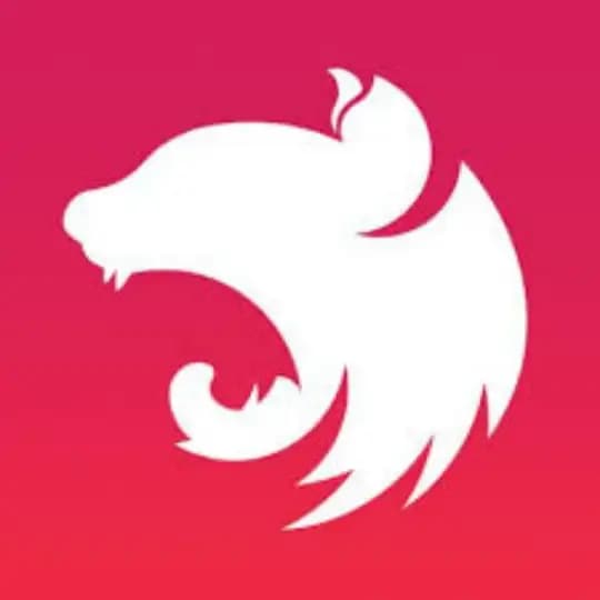 NestJS en Español Profile