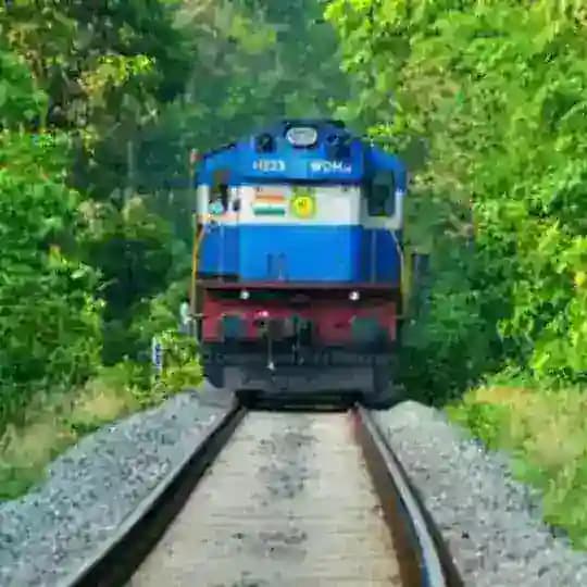 🌳Nilambur mates🌲🌴 Profile