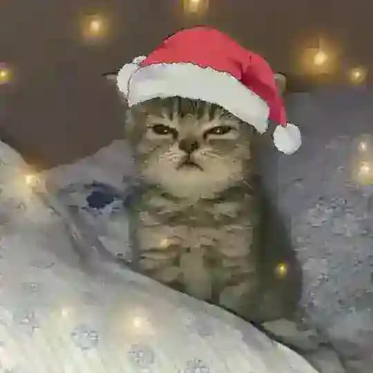 Чат для общения Profile