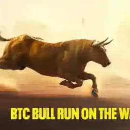 2024 BULLRUN Profile
