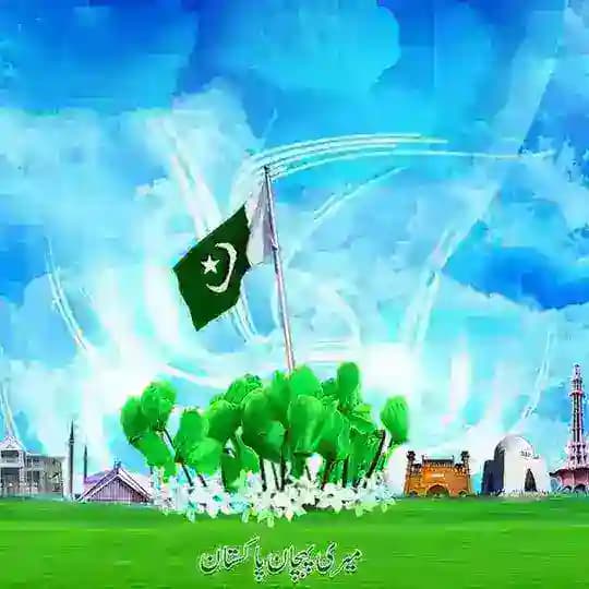 🇵🇰✨Pakistan Zindabad✨🇵🇰 Profile